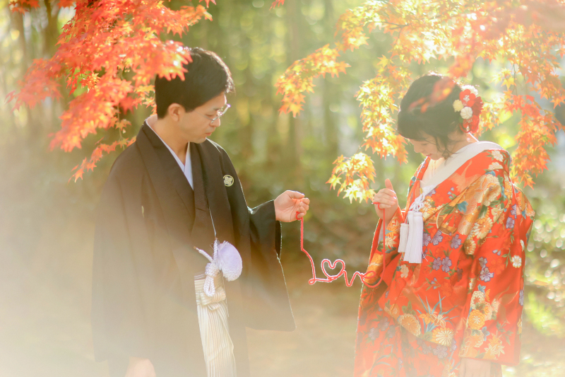 紅葉ロケーションに行こうよ~♬