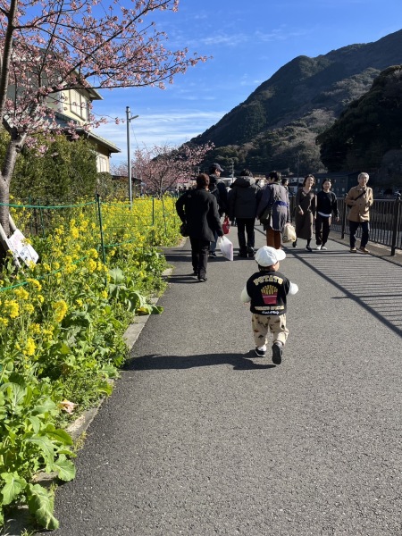 河津桜を見に静岡まで～❤