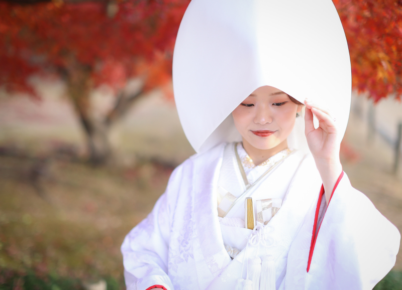 紅葉撮影ご予約、受付中!!