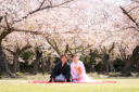 桜ロケーション撮影のご紹介