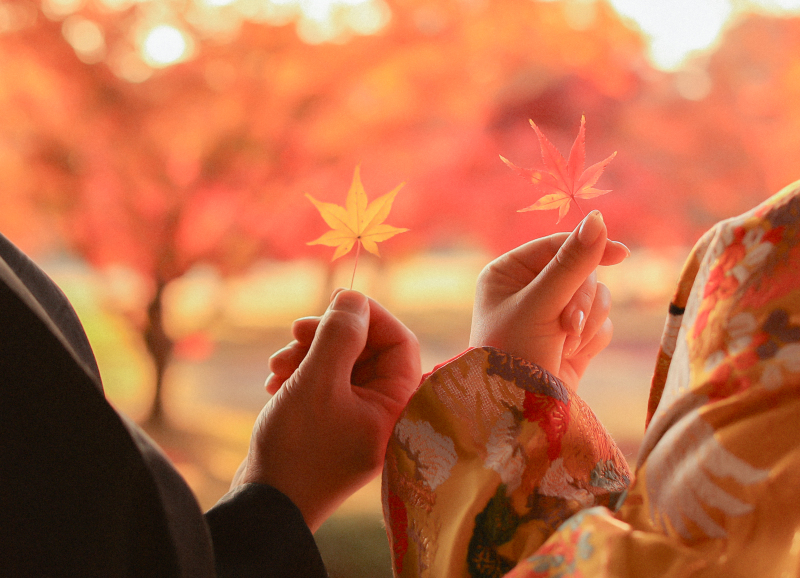 紅葉ロケーションに行こうよ~♪