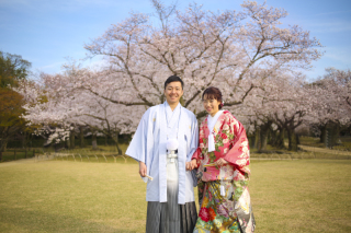 桜ロケーションまだ間に合いますよ~!!