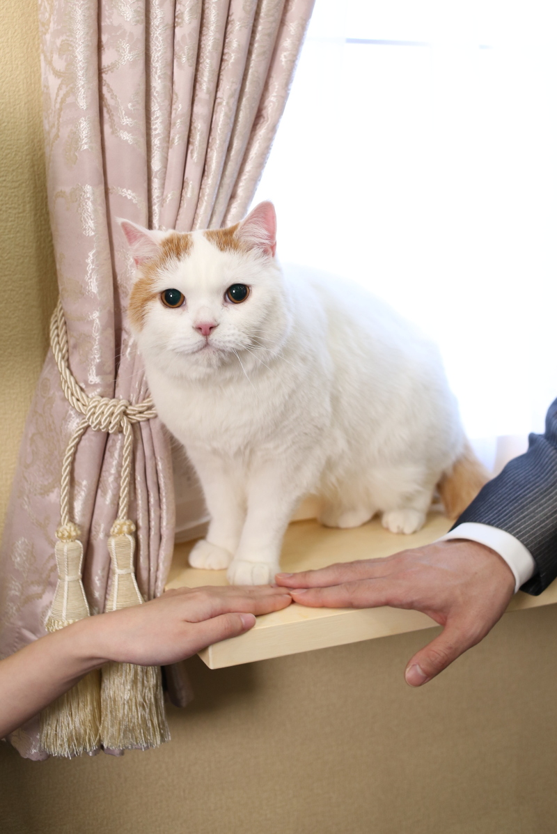 ペットと一緒にフォト撮影♥