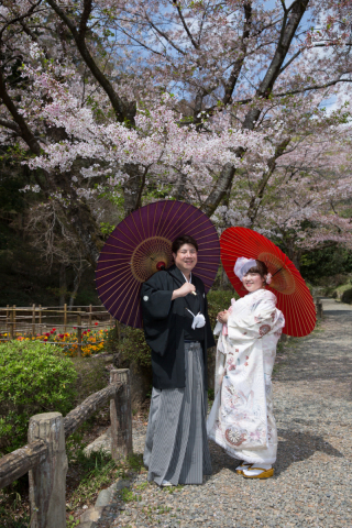 最終受付「桜フォト」相談会