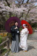 まだまだ間に合う「桜フォト相談会」