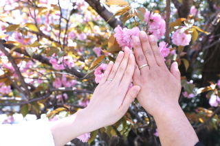 桜の季節に撮るフォトウエディング｜春のはじまりを写真と映像で残す
