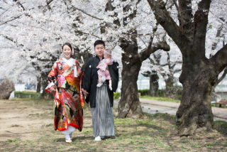 桜フォト予約受付中!