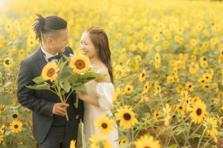 ひまわり畑フォトウェディング　予約受付中