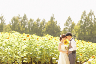 ひまわり畑フォトウェディング　予約受付中