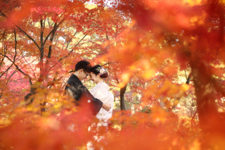 紅葉フォト◆予約受付中
