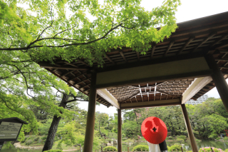 新緑フォトウェディングキャンペーン