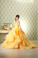 憧れのプリンセスになりたいっ！