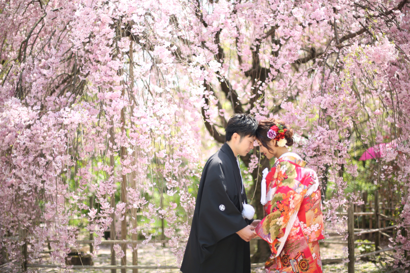 桜開花宣言！空き状況のお知らせ