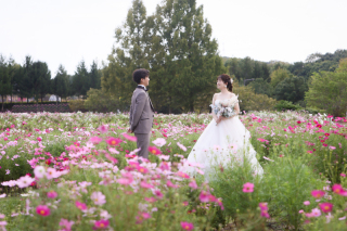 9月はフォトウェディングフェア開催