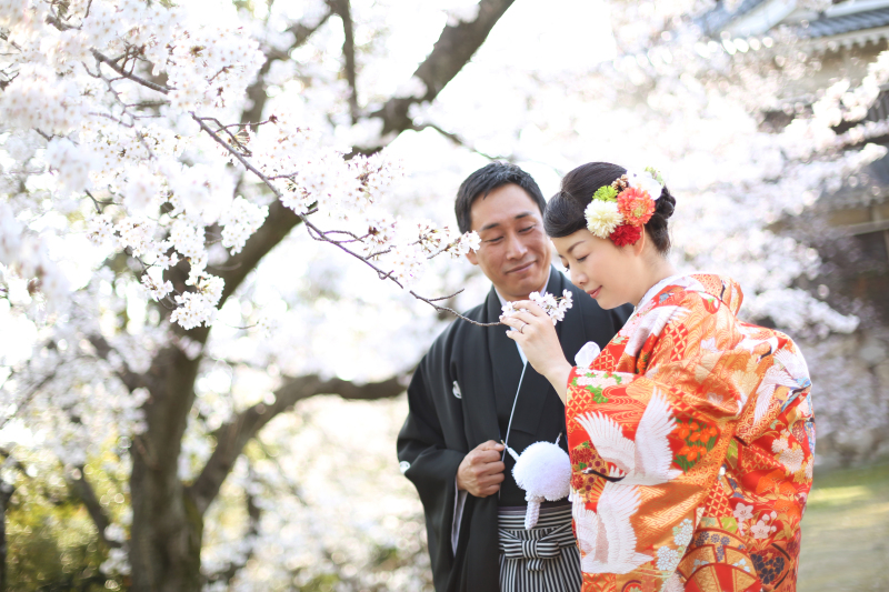 桜ロケフォトご予約受付中♪まだ間に合います！