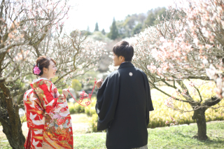 春フォト予約受付中！