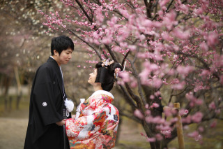 2月5日限定!梅フォトロケーション❀
