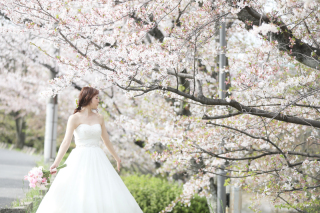 桜フォトまだ間に合います！