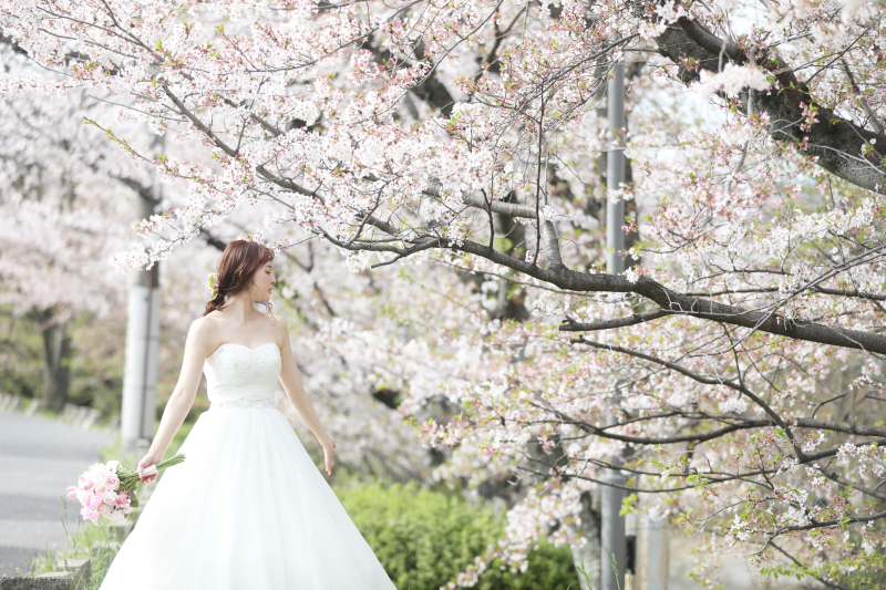 桜フォトまだ間に合います!