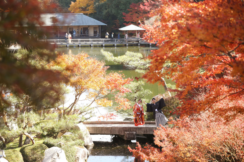 紅葉フォトご予約受付スタート！