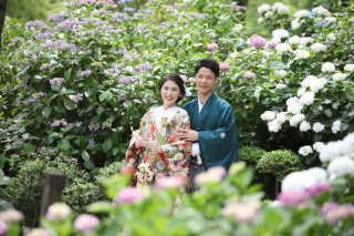 紫陽花フォトプラン