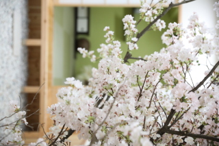 フォトスタジオリニューアルオープン！