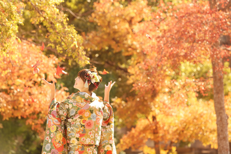 紅葉情報!
