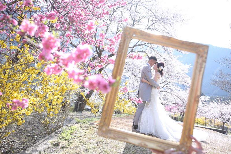 桜ロケーションフォトご予約受付中です☆