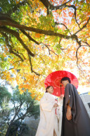 【紅葉フォト】ご予約空きあと僅かです！