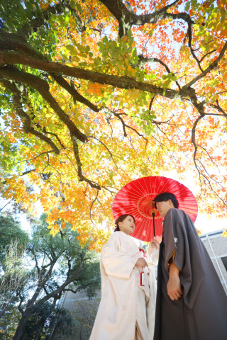 【紅葉フォト】ご予約空きあと僅かです！