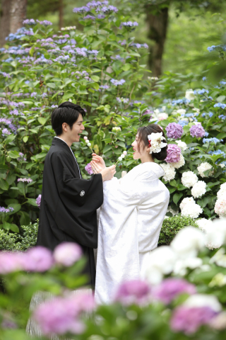 6月の花、紫陽花と撮るフォトウェディング