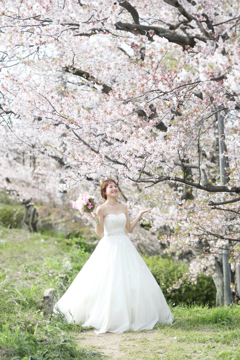 桜フォト間に合います!
