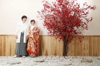 年賀状プラン予約受付中