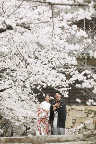 桜ロケ予約受付開始！