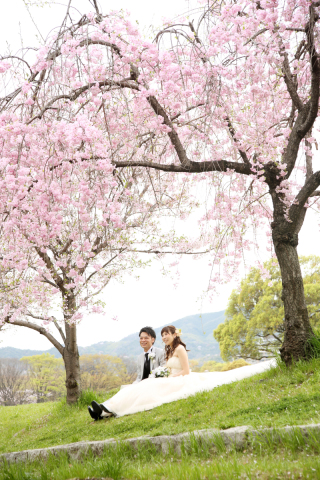 桜ロケフォトご予約受付中♪まだ間に合います！