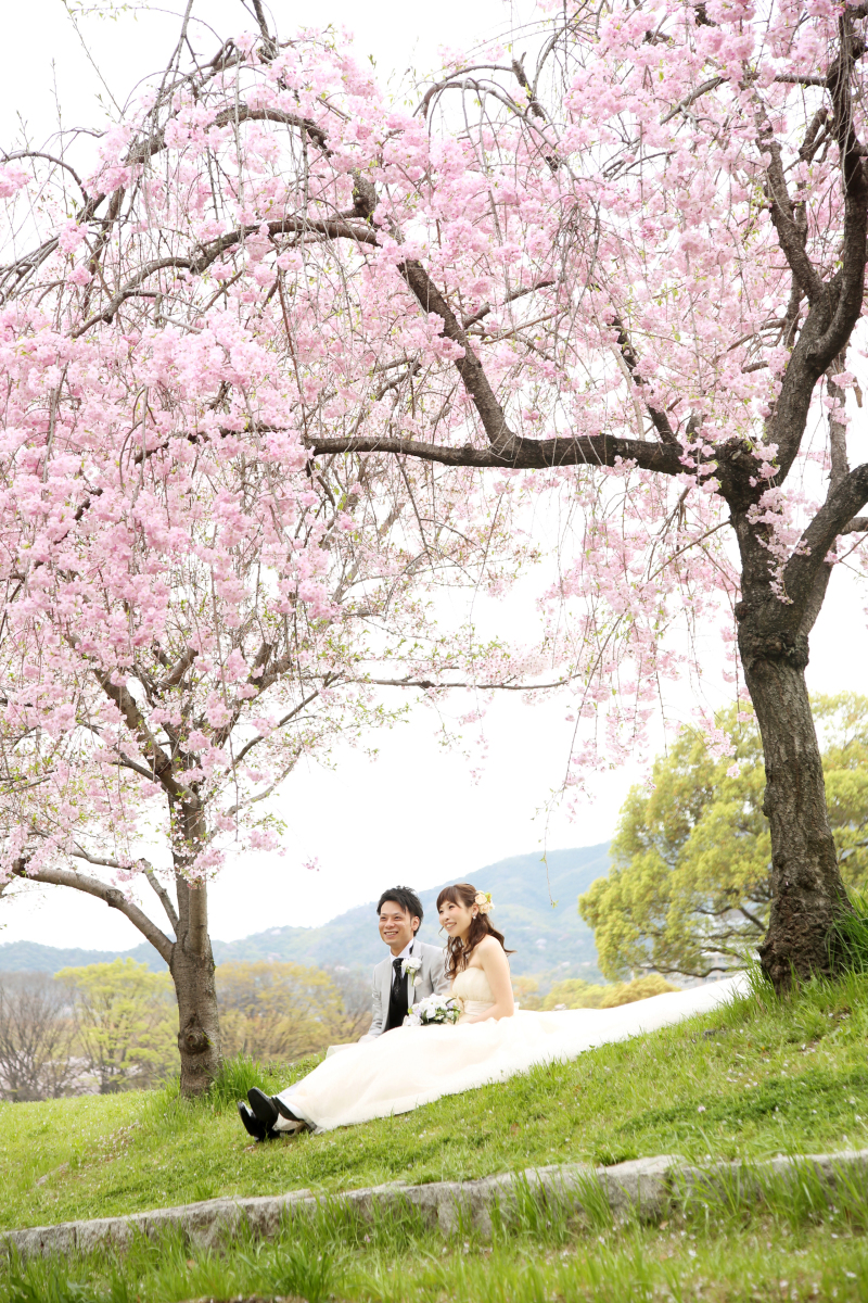 桜ロケフォトご予約受付中♪まだ間に合います!