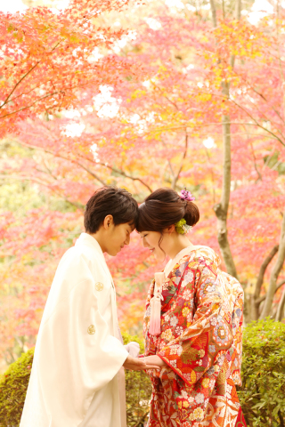 11月後半キャンセル出ました！紅葉フォト追加受付中です★