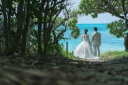 緑いっぱい！！！のお写真はいかが？？？