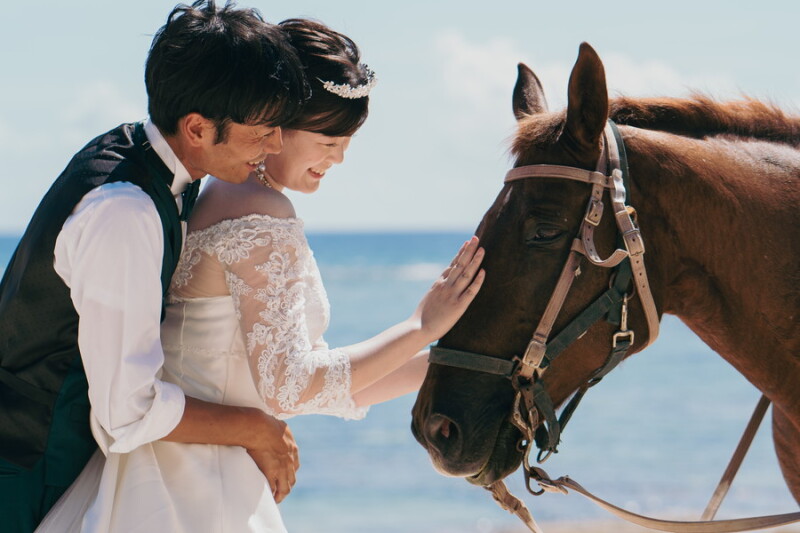 お馬さんとフォトウェディング✧˖