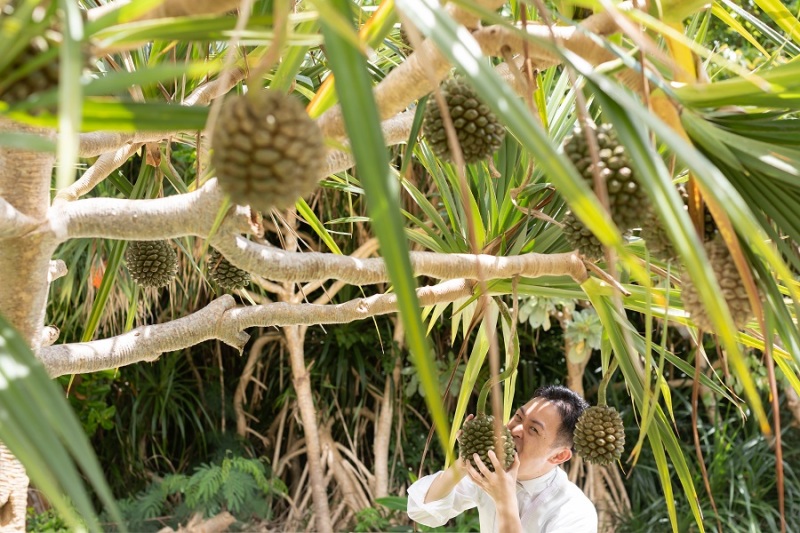 道端の植物を使って撮影❕