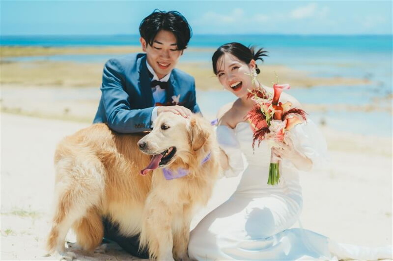 ＼ 沖縄本島で叶う！ ／愛犬と一緒に楽しむフォトウェディング