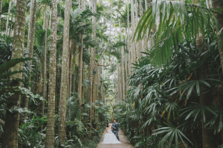 大自然に囲まれて、熱帯GREEEENフォト