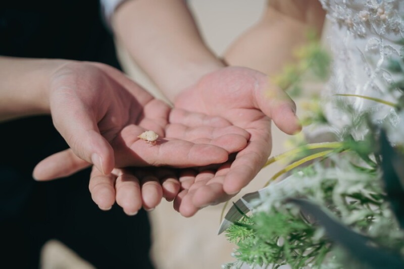 木漏れ日と幻想的な緑に包まれて♡ガンガラーの谷で叶える大自然フォト