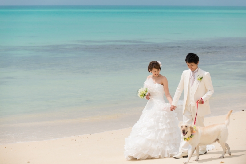 ＼ 沖縄本島で叶う！ ／愛犬と一緒に楽しむフォトウェディング