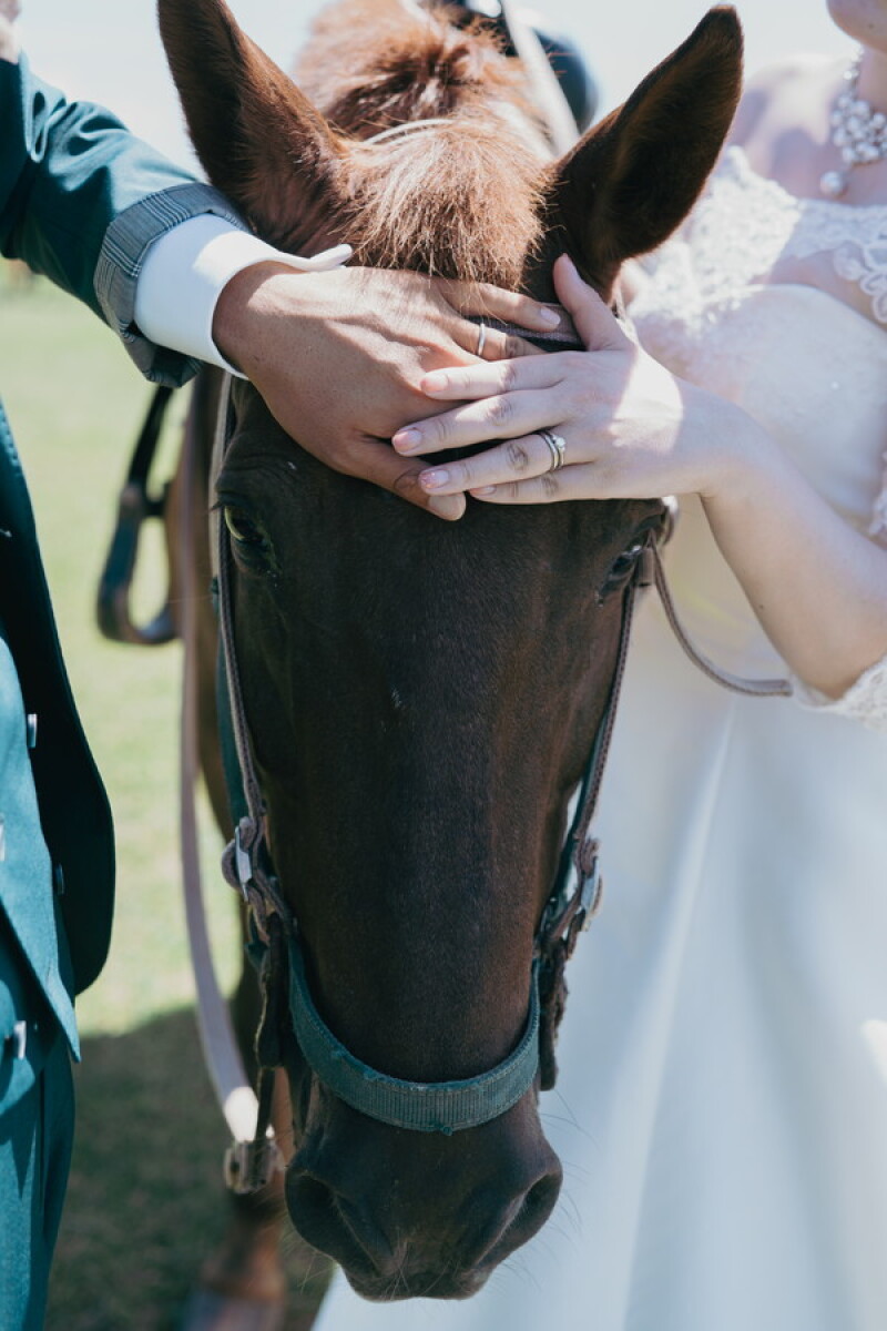 お馬さんとフォトウェディング✧˖