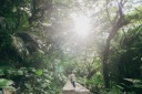 木漏れ日と幻想的な緑に包まれて♡ガンガラーの谷で叶える大自然フォト