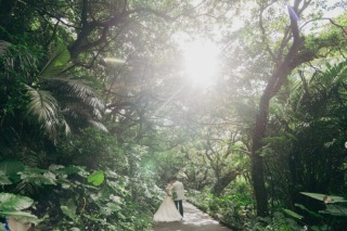 木漏れ日と幻想的な緑に包まれて♡ガンガラーの谷で叶える大自然フォト