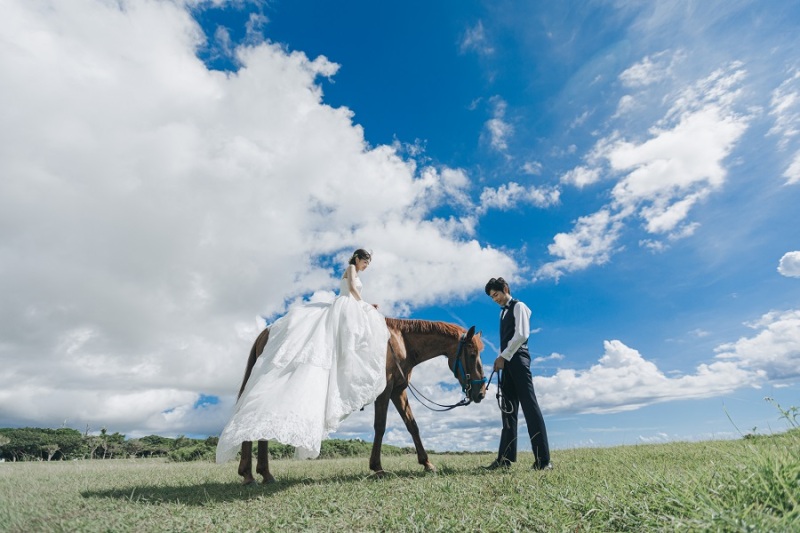 ~素敵な馬とのフォトプランのお写真ご紹介~