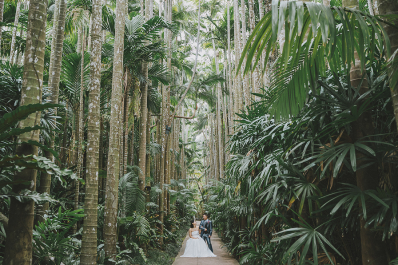 海ブドウのぷちぷちストーリー