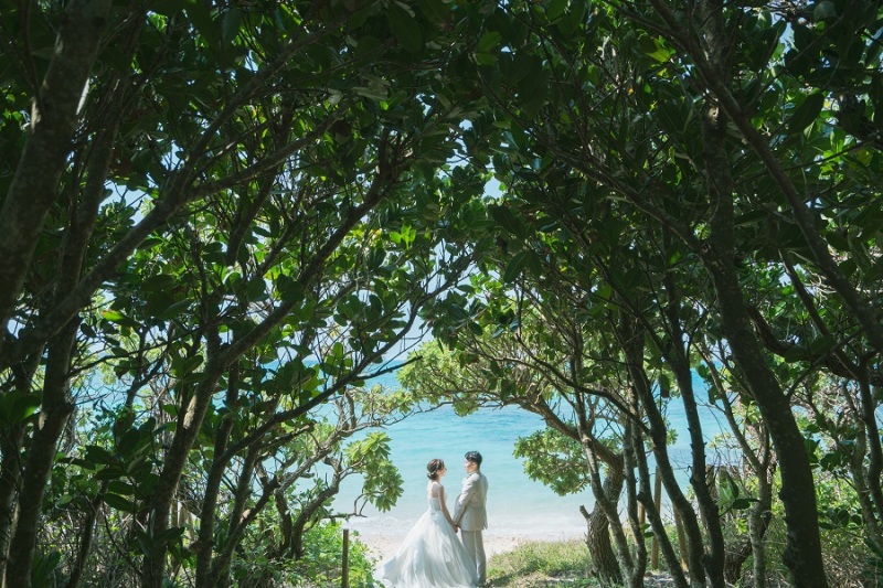 MIYAKO ISLAND -Beach&Chapel&Utopia farm-